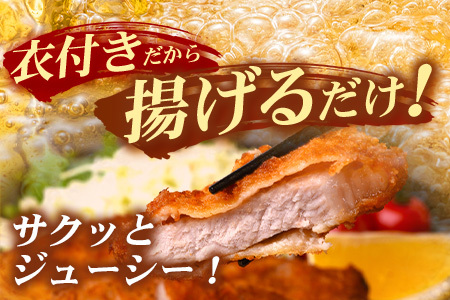 鹿児島県産 ひかり麦豚 ヒレかつ 計1kg （200g×5パック）衣つき トレーなし 冷凍 | 肉 お肉 にく 豚肉 黒豚 かごしま黒豚 ヒレ肉 トンカツ 冷凍 解凍して揚げるだけ 加工品 真空冷凍 