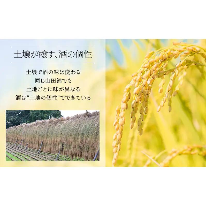日本酒 龍力 大吟醸 姫路城 ケース入 720ml 日本酒