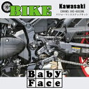 【ふるさと納税】ベビーフェイス　パフォーマンスステップキット　KAWASAKI Z900RS　002-K033BK【1436836】