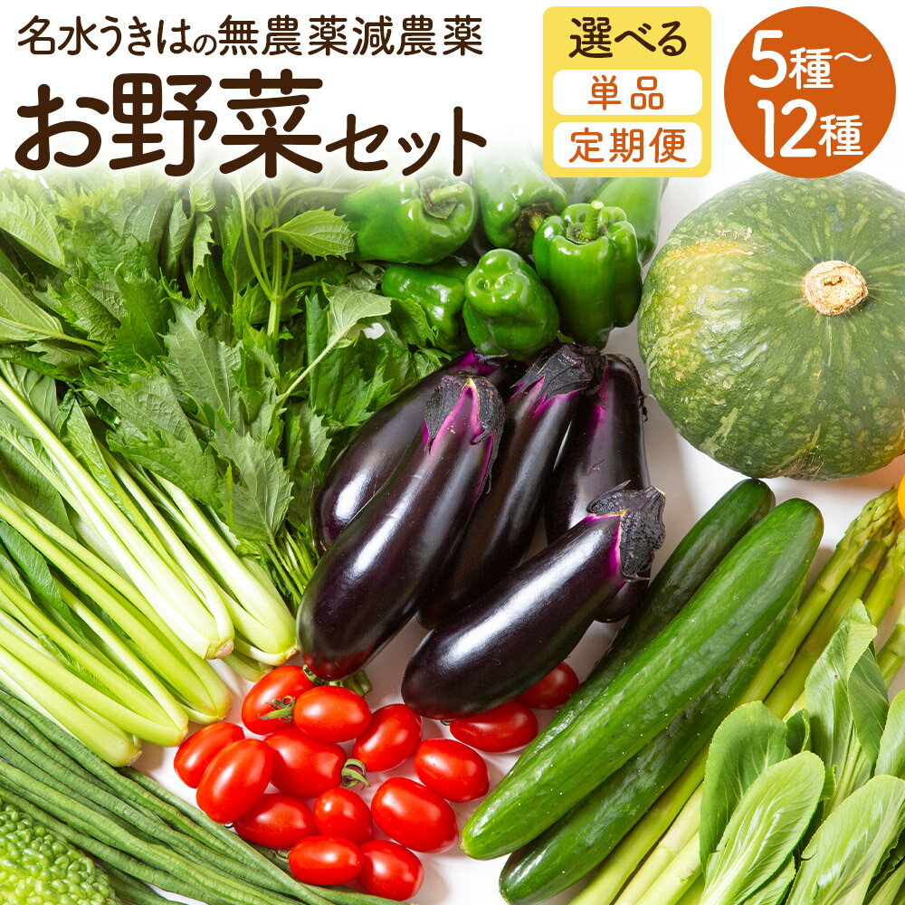 【ふるさと納税】【選べる種類】UIC 名水うきはの無農薬減農薬お野菜セット 野菜 定期便 詰め合わせ 野菜詰め合わせ 冷蔵 送料無料 福岡県 うきは市