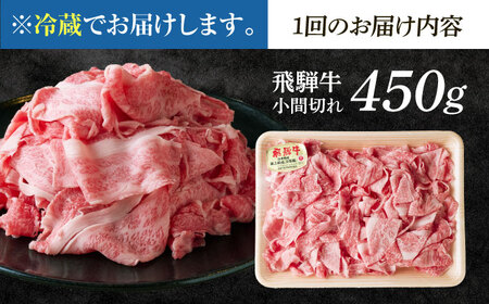 【6回定期便】 ※冷蔵配送/地域限定※ 飛騨牛 小間切 450g 瑞浪市 / きなぁた瑞浪&nbsp;和牛 国産 岐阜県産[AZCI069]