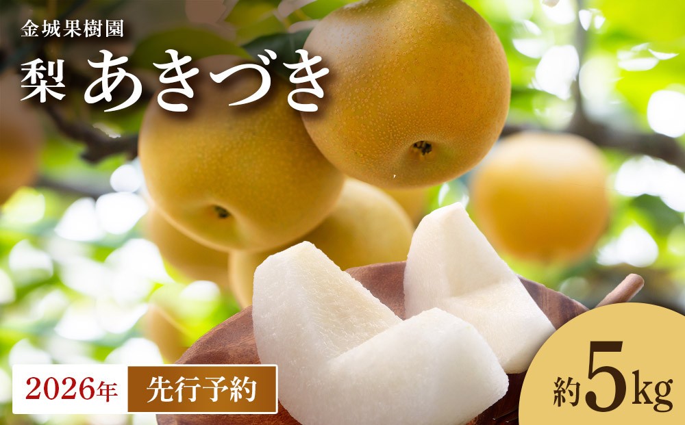 
                  【2026年先行予約】金城果樹園　梨「あきづき」約5kg（8～14玉入）2026年9月中旬～順次発送
                