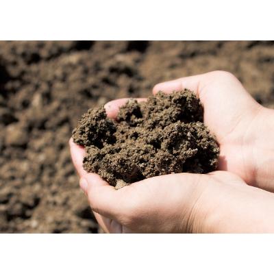 ふるさと納税 能美市 【令和7年産】能美市が誇るコシヒカリ「ひかり太陽米」白米5kg |  | 02