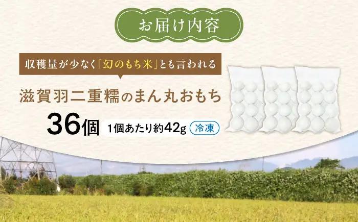 滋賀羽二重糯のまん丸おもち 36個[AQEC003]もち