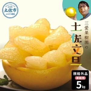 【先行予約】　文旦 約5kg 5キロ Lから4Lサイズ 土佐文旦 みかん 柑橘 ぶんたん ブンタン 果物 フルーツ デザート おやつ 三愛果樹園の土佐文旦 おいしい 美味しい【三愛果樹園】 [BQAO012]