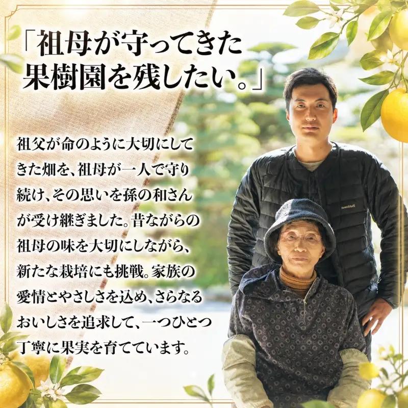 【訳あり】文旦 10kg L～4L 土佐文旦 大北果樹園