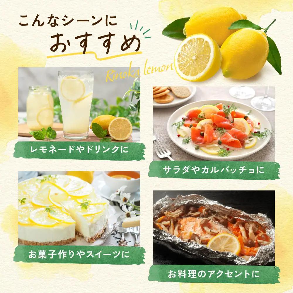 璃の香レモン(4kg)※11月中旬～順次発送 | 湯河原町 柑橘 旬 果物