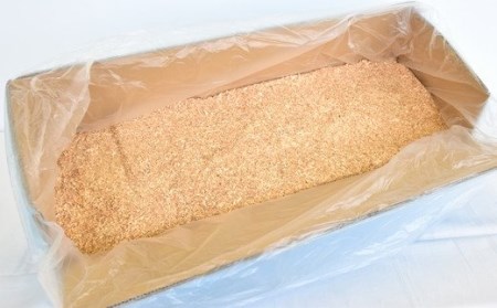 滋養強壮に！「長いも」（約5kg）