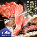 【ふるさと納税】黒樺牛 焼肉用カルビ 750g（250g×3パック） 肉 お肉 牛肉 和牛 黒毛和牛 国産 冷凍 焼き肉 焼肉 冷凍 熊本県 送料無料