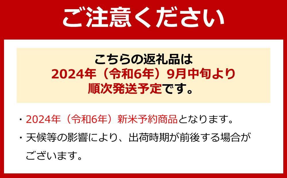 【令和6年産 新米予約】南魚沼産コシヒカリ（無洗米）【3kg】【令和6年9月中旬より順次発送予定】