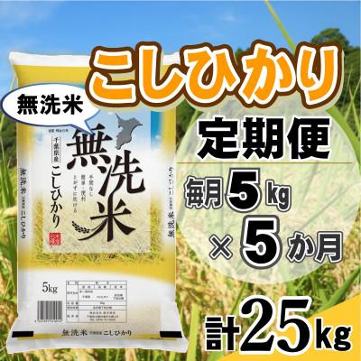 ふるさと納税 大網白里市 【毎月定期便】コシヒカリ 無洗米 5kg (5kg×1袋)全5回