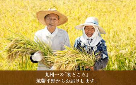 福岡県産【特A】評価のお米「元気つくし」5kg×2袋 [10kg] [白米]《築上町》【株式会社ビーキューブ】[ABDF030] お米おすすめ お米定番 お米人気 お米お取り寄せ 美味しいお米 お米料