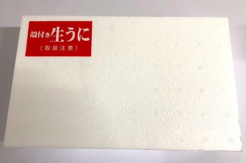 (10043)殻付きウニ 4個 冷蔵 生うに 雲丹 長門市  ムラサキウニ