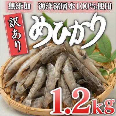 ふるさと納税 須崎市 めひかり 干物 1.2kg 高知県産 産地直送 アオメエソ