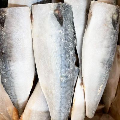 ふるさと納税 美浜町 【ご家庭用　訳あり】塩さばフィレ1kg |  | 03