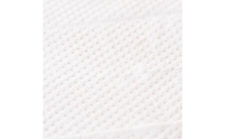 ホームコーディ　流せるお掃除シート　トイレ用　5個入 イオンリテール 日用品