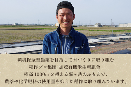 【定期便12ヶ月毎月お届け】【2024年先行予約】【令和6年産新米】新潟県加茂市産 特別栽培米コシヒカリ 精米2kg 白米 従来品種コシヒカリ 加茂有機米生産組合 定期便 定期購入 定期 コシヒカリ 