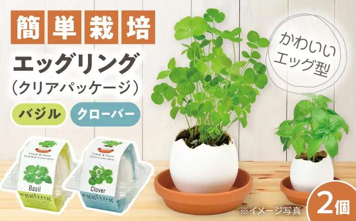 エッグリング クリアパッケージ 2個（バジル、クローバー） / 栽培キット 園芸 ハーブ / 瀬戸市 / 聖新陶芸[BBEK003]