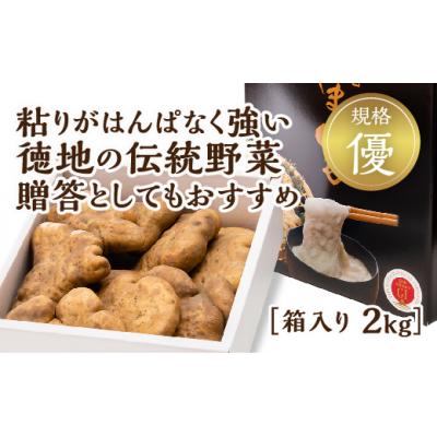 ふるさと納税 山口市 徳地やまのいも箱入り2kg(優) D120