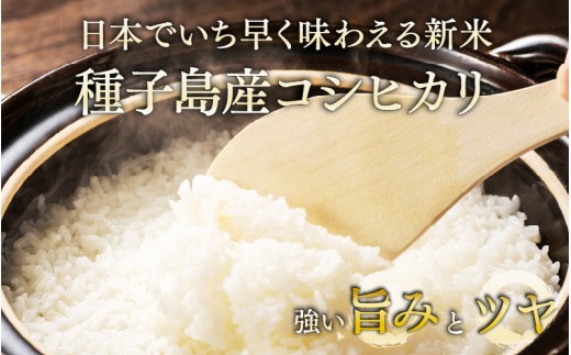 《令和8年産米 新米》種子島産コシヒカリ 5kg 無洗米 お米 こめ コメ 精米 白米 コシヒカリ こしひかり 食品 グルメ お取り寄せ おすそわけ 人気 おすすめ ギフト 南種子町 鹿児島 かごしま