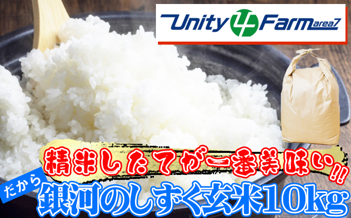 数量限定 岩手県産 銀河のしずく 玄米 10kg 【ユニティファーム】 米 こめ コメ スーパーフード ヘルシー ごはん ご飯 ライス 国産 産地直送 農家直送 期間限定 おにぎり 弁当 おすすめ 人