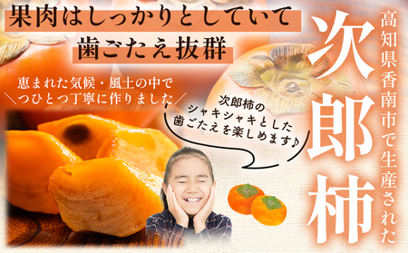 【2026年10月下旬より順次配送】次郎柿 3kg 高知県 香南市 果物 くだもの フルーツ 柿 かき カキ nm-0003
