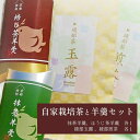 【ふるさと納税】茶園の自家栽培茶と特製綾部茶ようかんのセット（ 抹茶ようかん / ほうじ茶ようかん / 綾部玉露 / 綾部煎茶 ）【 国産 農家直送 日本茶 茶 お茶 綾部茶 ようかん 羊羹 ギフト お茶請け 贈り物 プレゼント 和菓子 セット 贈答品 お土産 スイーツ 京都 綾部 】