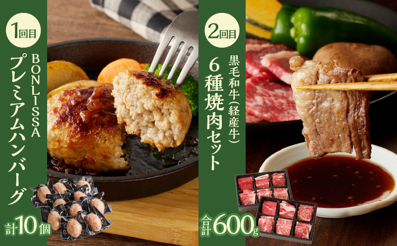 ≪12か月お楽しみ定期便≫都農町定期便(梅) 肉 加工品 デザート 国産_T999-0083