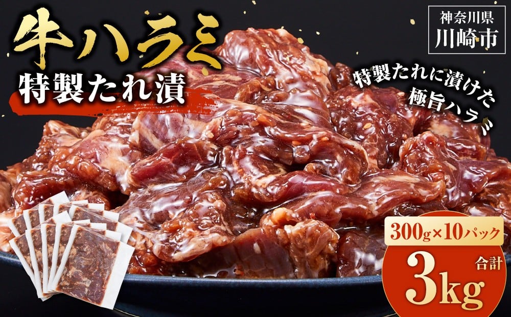 
            ＜訳あり＞牛ハラミ　特製たれ漬　3.0kg【配送月が選べる】
          