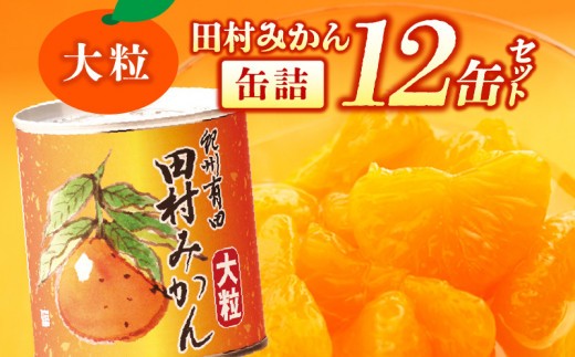 
                  みかん 田村みかん 大粒 缶詰 12缶 セット フルーツ缶詰 Lサイズ以上 ぷりぷり 果汁たっぷり デザート フルーツ 果実 果物 柑橘 国産 食品 食べ物 紀州食品株式会社 お取り寄せ 和歌山県 湯浅町 送料無料_AY6003n
                