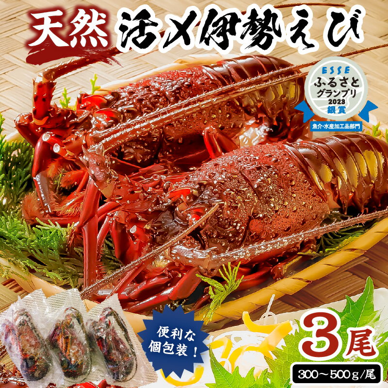 【ふるさと納税】【天然】甘み凝縮！活〆冷凍伊勢海老900g以上 300g×3尾 千葉県 南房総市 お取り寄せ グルメ 海の幸 魚介 海鮮 個包装 お刺身 高品質 贈り物 お祝い品 味噌汁 送料無料