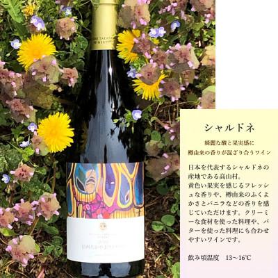 ふるさと納税 高山村 信州たかやまワイナリーの赤ワイン・白ワイン2本セット(メルロー&カベルネ、シャルドネ) |  | 02