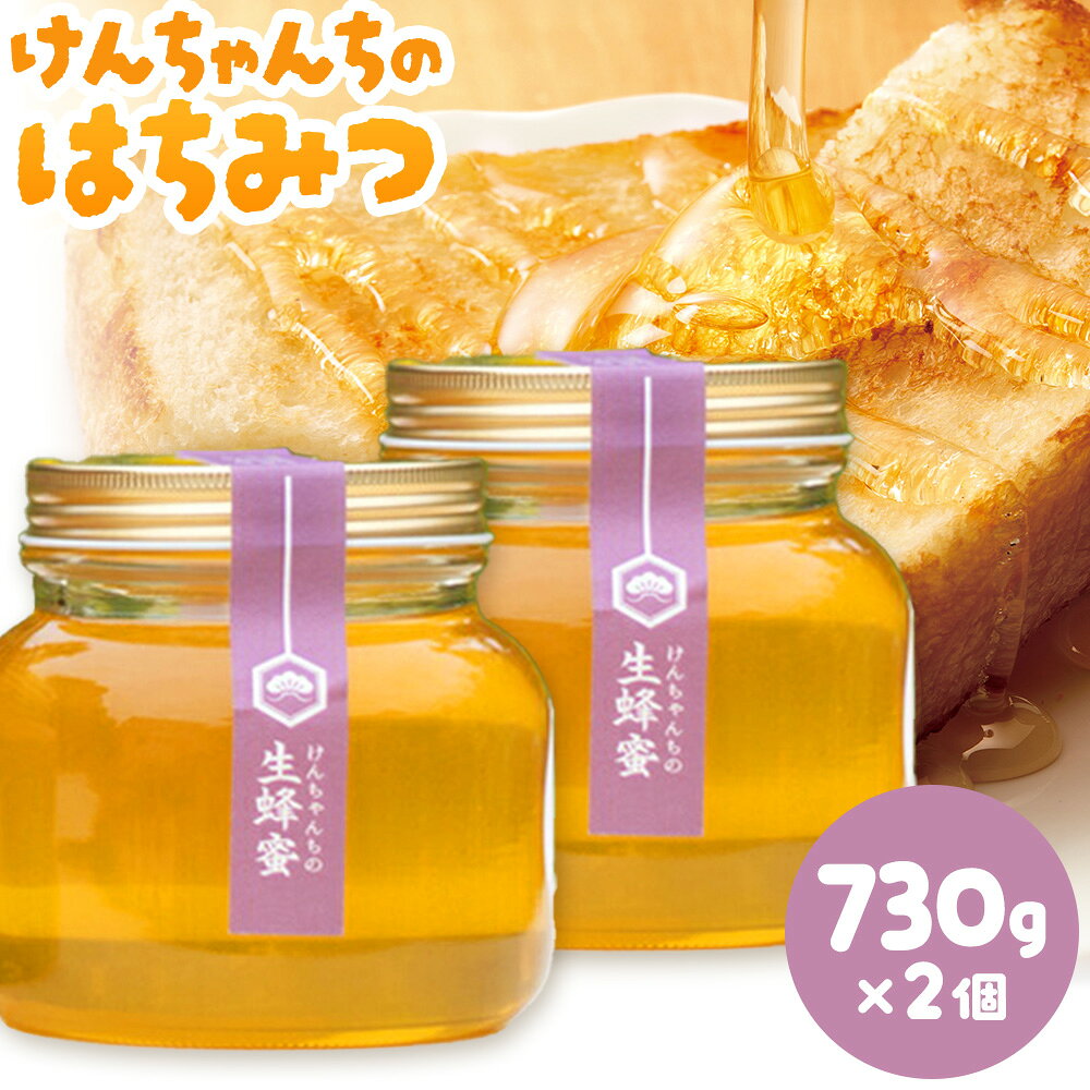 【ふるさと納税】けんちゃんちのはちみつ 730g 2個セット《7月頃出荷予定（土日祝除く）》ふるさと納税 はちみつ ハチミツ 蜂蜜 国産蜂蜜 天然蜜蜂 徳島県 佐那河内村 送料無料