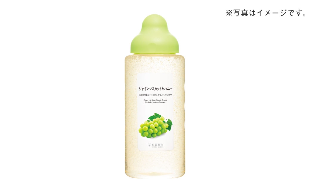 シャインマスカット 果汁入りはちみつ 1000g
