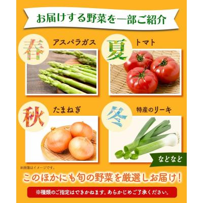 ふるさと納税 矢掛町 【6ヶ月定期便】旬の新鮮野菜詰合わせセット野菜5〜10品目《お申込み月の翌月から出荷開始》 |  | 03