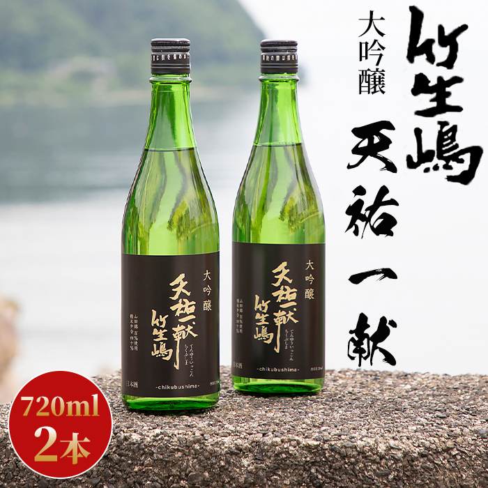 【I-629】吉田酒造　天祐一献　竹生嶋　大吟醸　720ml×2本【高島屋選定品】_イメージ1