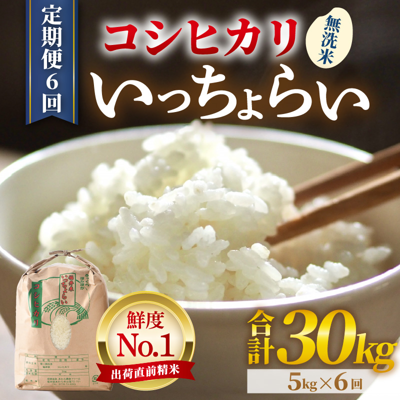 【先行予約】【令和8年産・新米】【一等米】《定期便6回》いっちょらい 無洗米 5kg × 6回（計30kg） ／ 福井県産 ブランド米 コシヒカリ ご飯 白米 新鮮 大賞 受賞 ※2026年10月上旬以降順次発送予定 [aw012-g006]