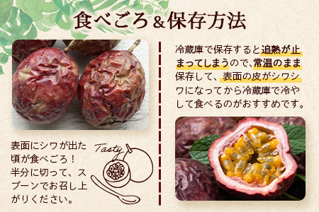 先行予約 ☆ 濱田農園 パッションフルーツ ☆ 1kg 贈答用 | 鹿児島県産 パッションフルーツ 南国フルーツ パッションフルーツ