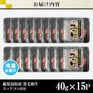 s705 鹿児島県産黒毛和牛ユッケ(計600g・40g×15パック) 鹿児島 国産牛 九州産 牛肉 黒牛 生食用 小分け 冷凍 ユッケ 黒毛和牛 牛 【カミチク】