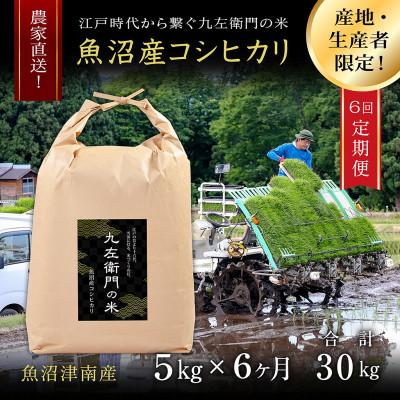 ふるさと納税 津南町 【毎月定期便】魚沼産コシヒカリ 九左衛門の米 5kg(5kg×1袋)全6回
