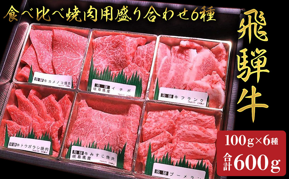 
【飛騨牛】食べ比べ焼肉盛り合わせ6種　各100g
