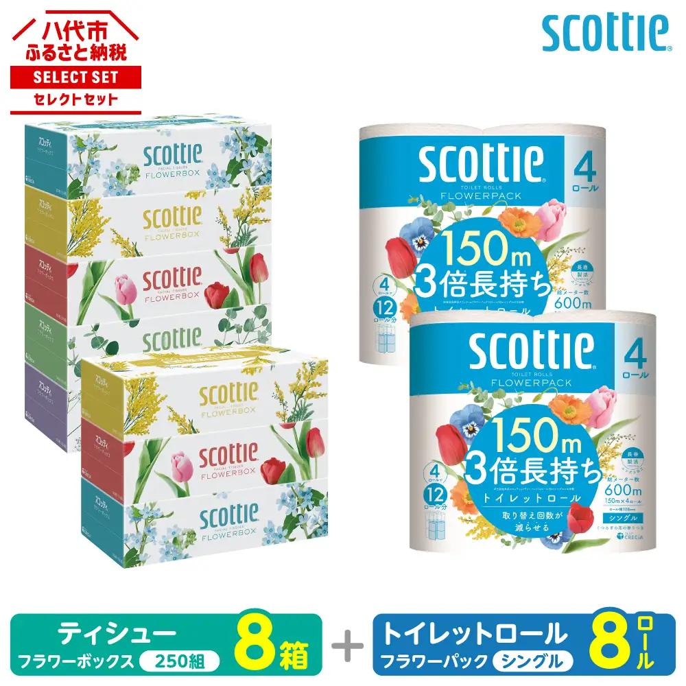 スコッティ 組み合わせ トイレットペーパー シングル 8ロール ティッシュ 250組 8箱 トイレットロール ティシュー 