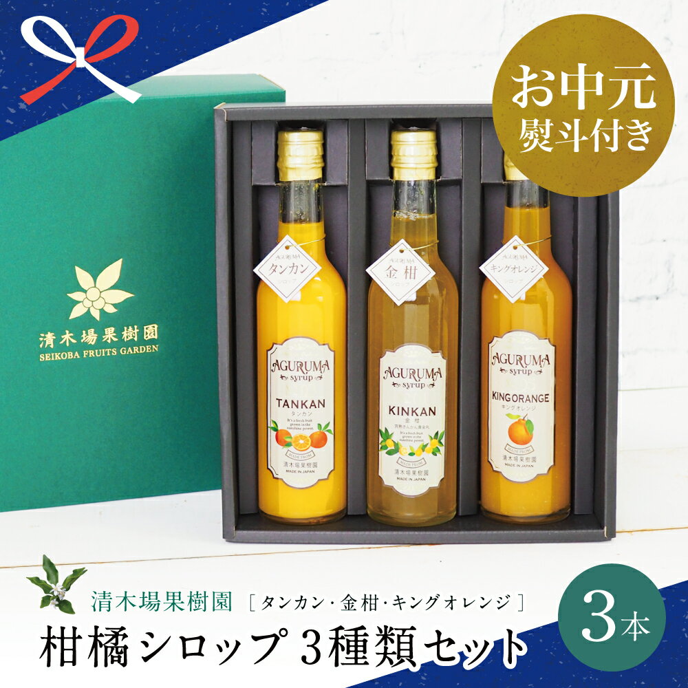 【ふるさと納税】【お中元ギフト】柑橘シロップ 3本セット＜金柑・タンカン・キングオレンジ＞［3種類］ 不知火 ドリンク ジュース 炭酸割り ハイボール カクテル かき氷 ヨーグルト アイス パンケーキ 南さつま市 贈り物 夏ギフト 贈答用 送料無料 のし対応 お中元熨斗付き