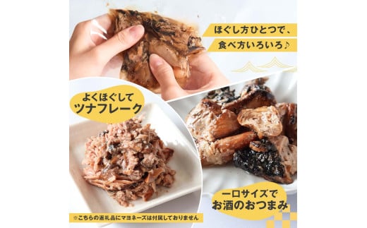 鰹ツナパウチ 100g×20袋セット 100グラム 国産 おにぎり つなまよ ツナマヨ ご飯 お弁当 魚 パスタ サラダ たんぱく質 タンパク質 おやつ かつお カツオ【企業組合　宇佐もん工房】 [B