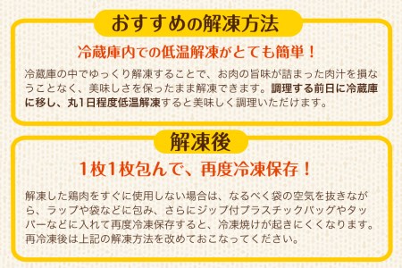 熊本県産 若鶏むね肉 約2kg/もも肉 約2kg 各1袋 たっぷり大満足！計4kg！《1月下旬-3月下旬頃出荷》 鶏肉 とりにく チキン 冷凍
