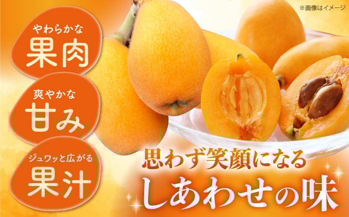 びわ ビワ 枇杷 果物 フルーツ 早生 わせ 果実 長崎県産 国産