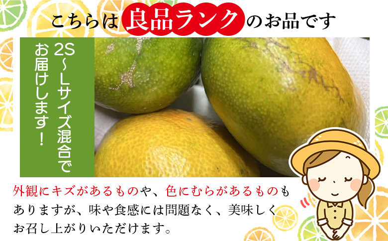 ＜木下さんちの極早生みかん 良品 約5kg（2S～Lサイズ混合）＞『2026年10月に順次出荷予定』柑橘類 ごくわせ 早生ミカン 蜜柑 果物 くだもの フルーツ 甘酸っぱい あまずっぱい 国産 キロ 