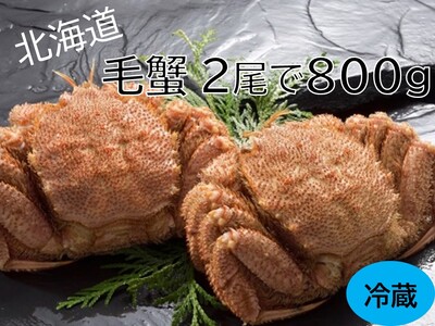 活ゆで毛蟹　2尾で800g【冷蔵】カニ　毛ガニ　蟹　北海道かに　北海道カニ　国産カニ　蟹　かに　　