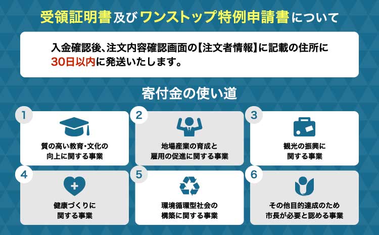 熊本 馬刺し 霜降り(大トロ) 600g 小分け 小袋たれ 小袋生姜付き