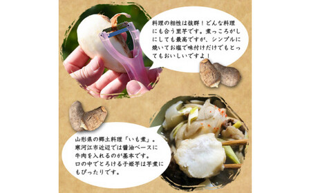 令和7年産 伝統野菜 里芋「子姫芋」3kg（500g×6袋）土付 山形県産 2025年産【2025年10月下旬頃～2026年1月頃配送予定】 012-B-BK004